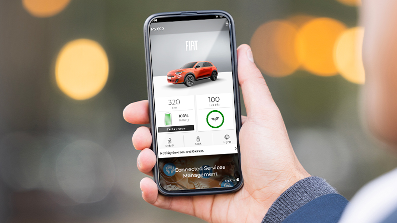 Servicii de conectivitate