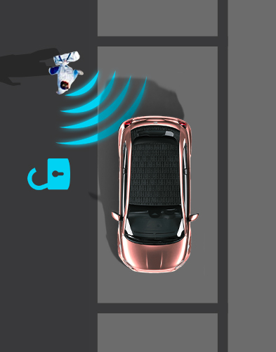 Acces fără cheie (”Keyless entry”)